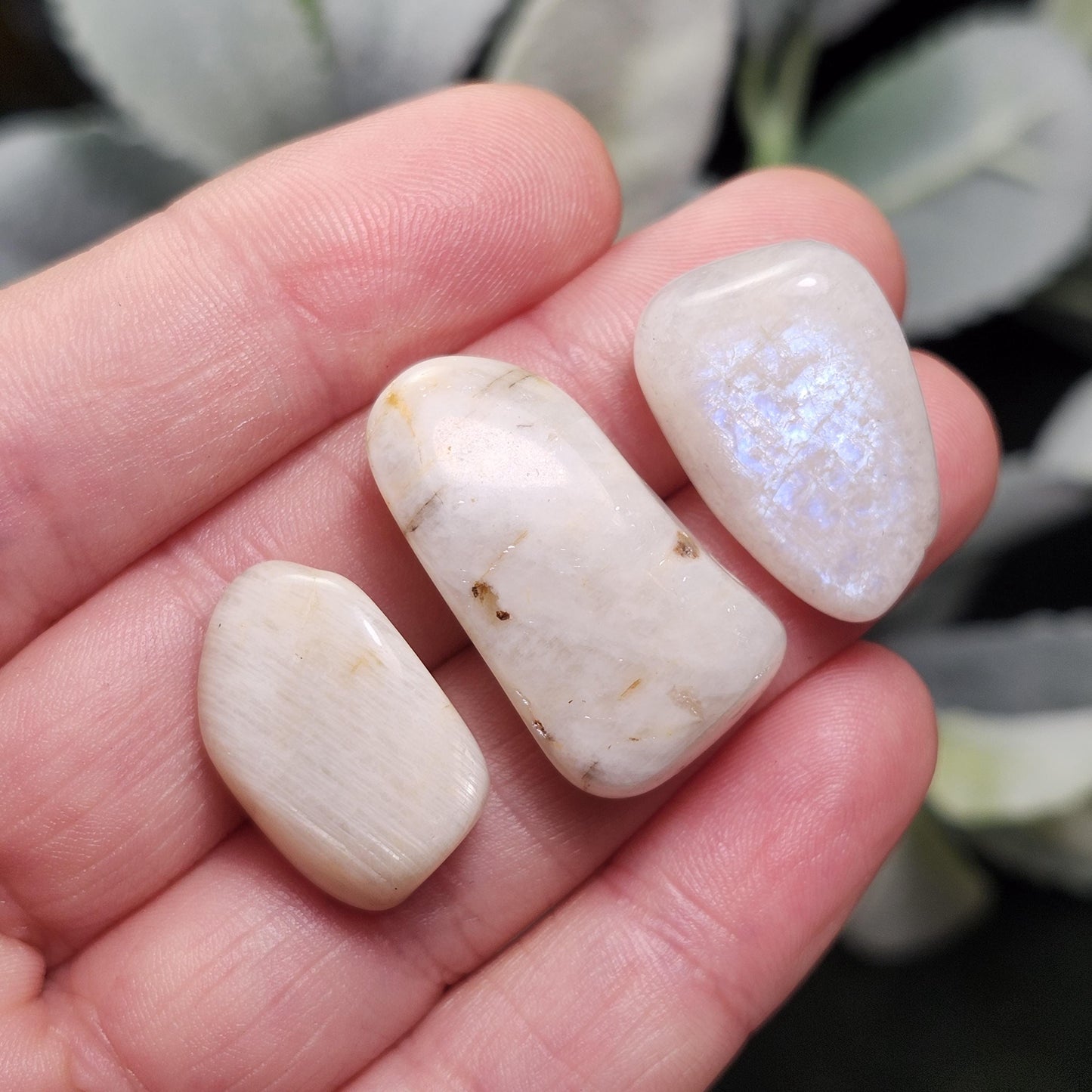Belomorite Rainbow Moonstone Crystal