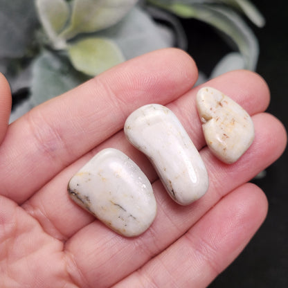Belomorite White Moonstone Crystal