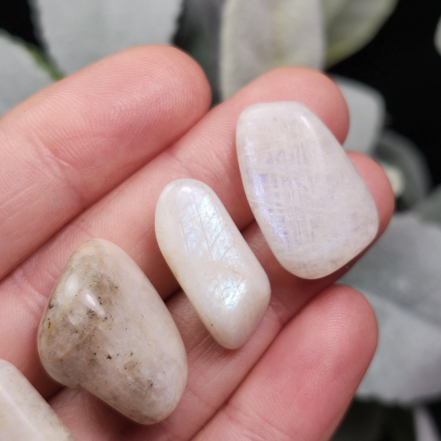Belomorite Rainbow Moonstone Crystal