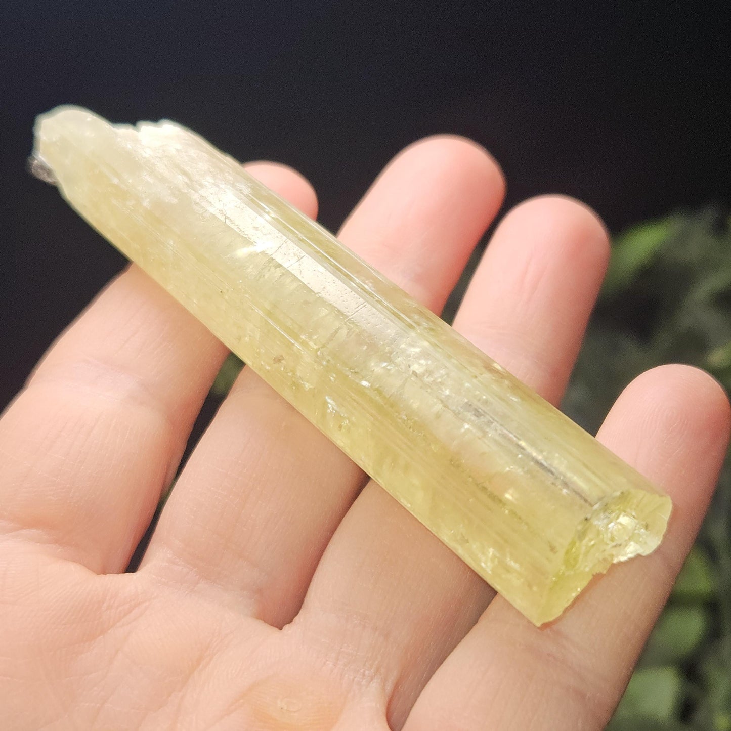 Heliodor Crystal Specimen 38.0g, LARGE Heliodor from Brazil, Golden Beryl