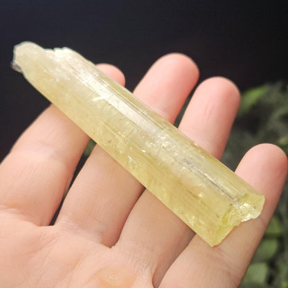 Heliodor Crystal Specimen 38.0g, LARGE Heliodor from Brazil, Golden Beryl