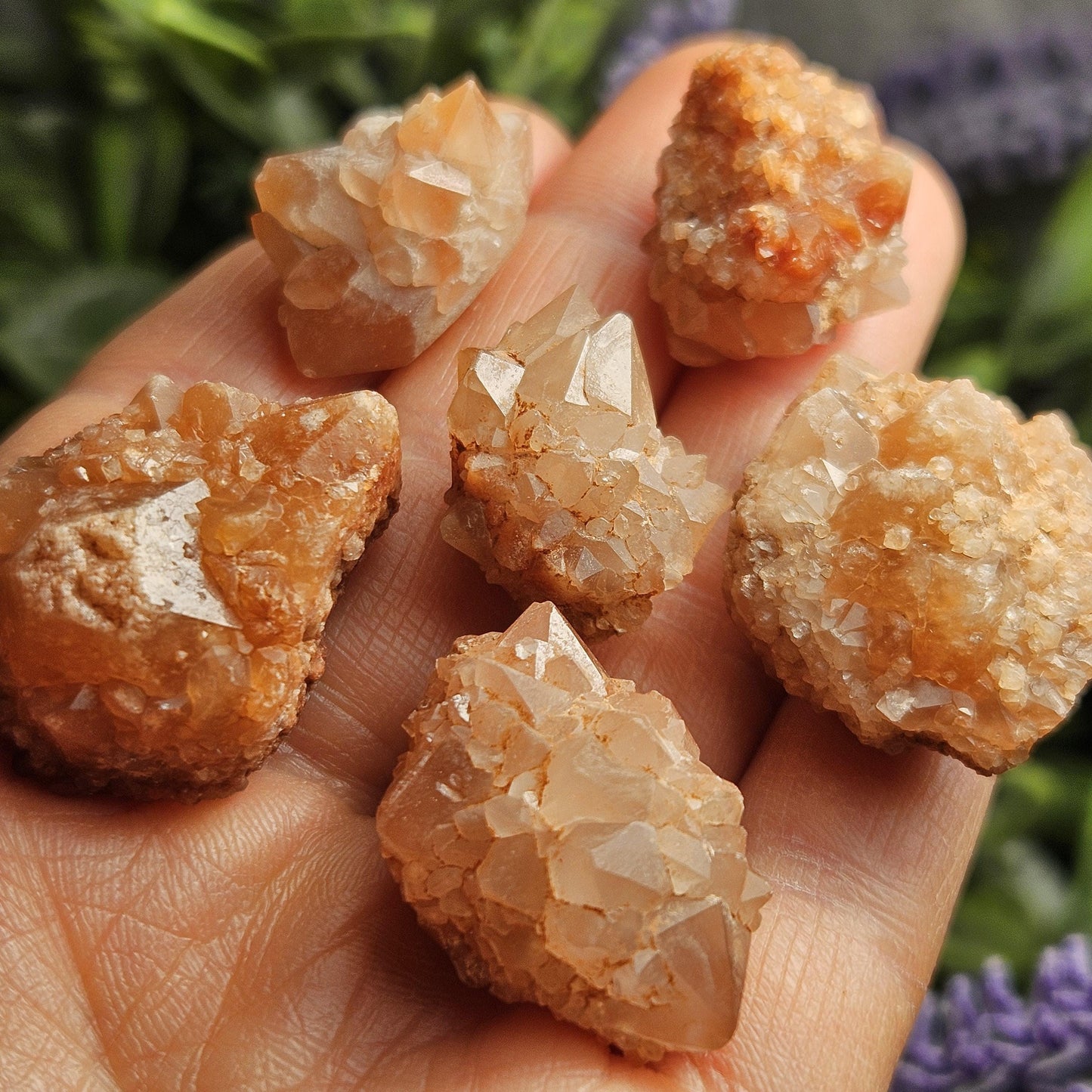 Pink Quartz Cluster from Palos Parados