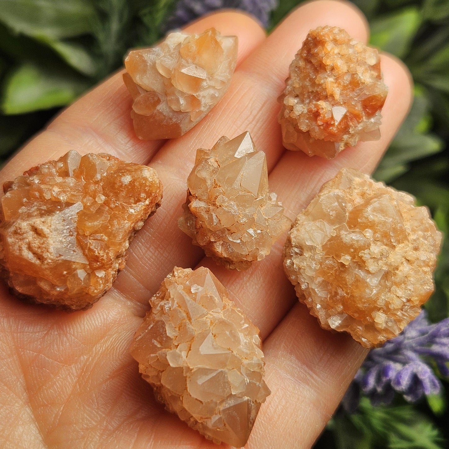 Pink Quartz Cluster from Palos Parados