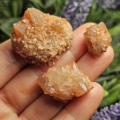 Pink Quartz Cluster from Palos Parados