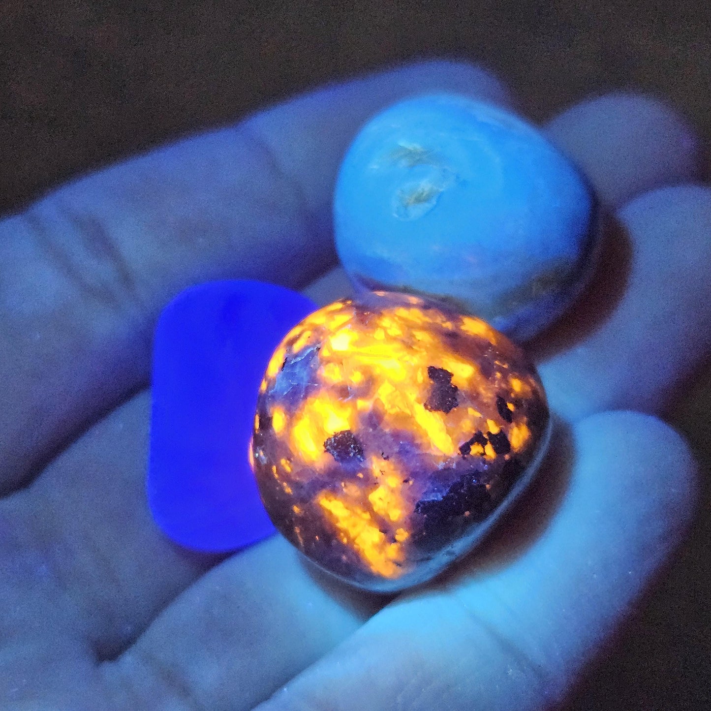 Yooperlite, Blue Amber & Fluorite : Set of 3 UV REACTIVE Crystals, Choose 1 or all 3!