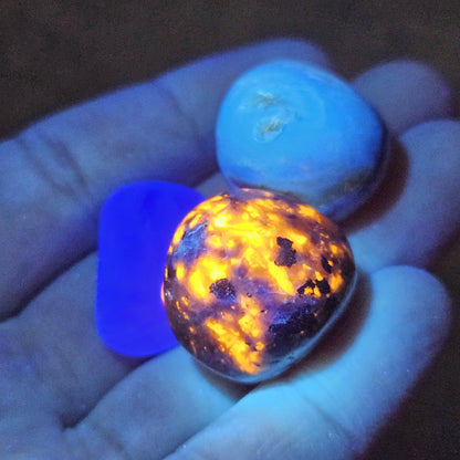 Yooperlite, Blue Amber & Fluorite : Set of 3 UV REACTIVE Crystals, Choose 1 or all 3!