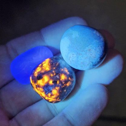 Yooperlite, Blue Amber & Fluorite : Set of 3 UV REACTIVE Crystals, Choose 1 or all 3!