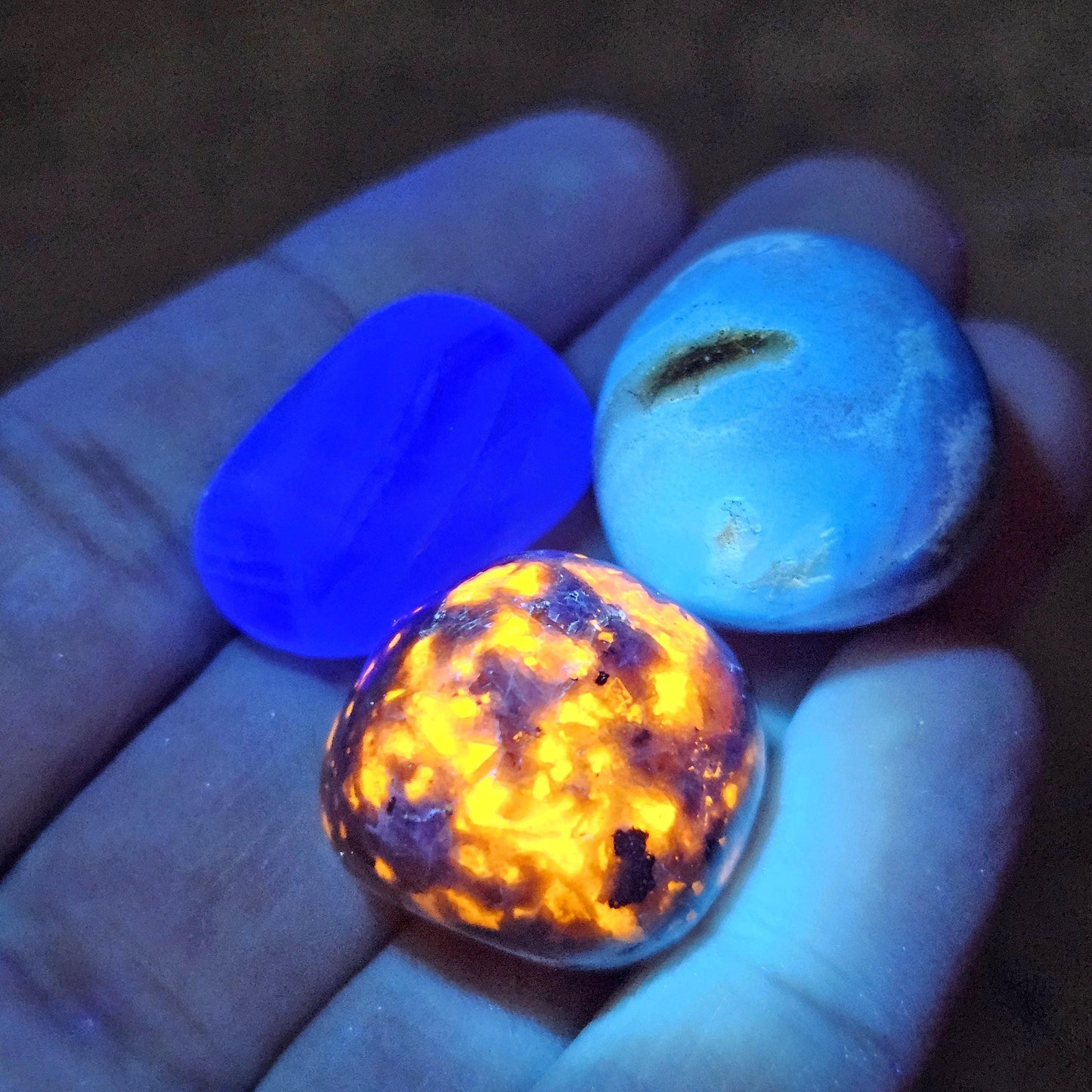 Yooperlite, Blue Amber & Fluorite : Set of 3 UV REACTIVE Crystals, Choose 1 or all 3!