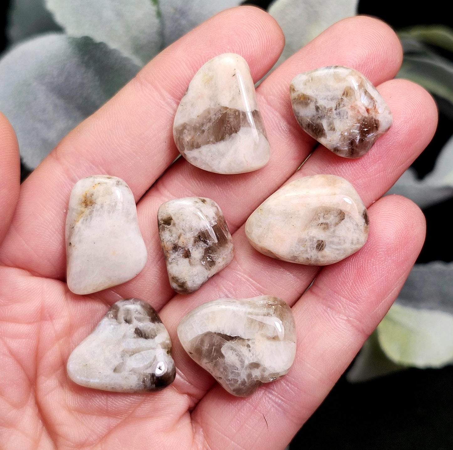 Belomorite Smoky Moonstone Crystal