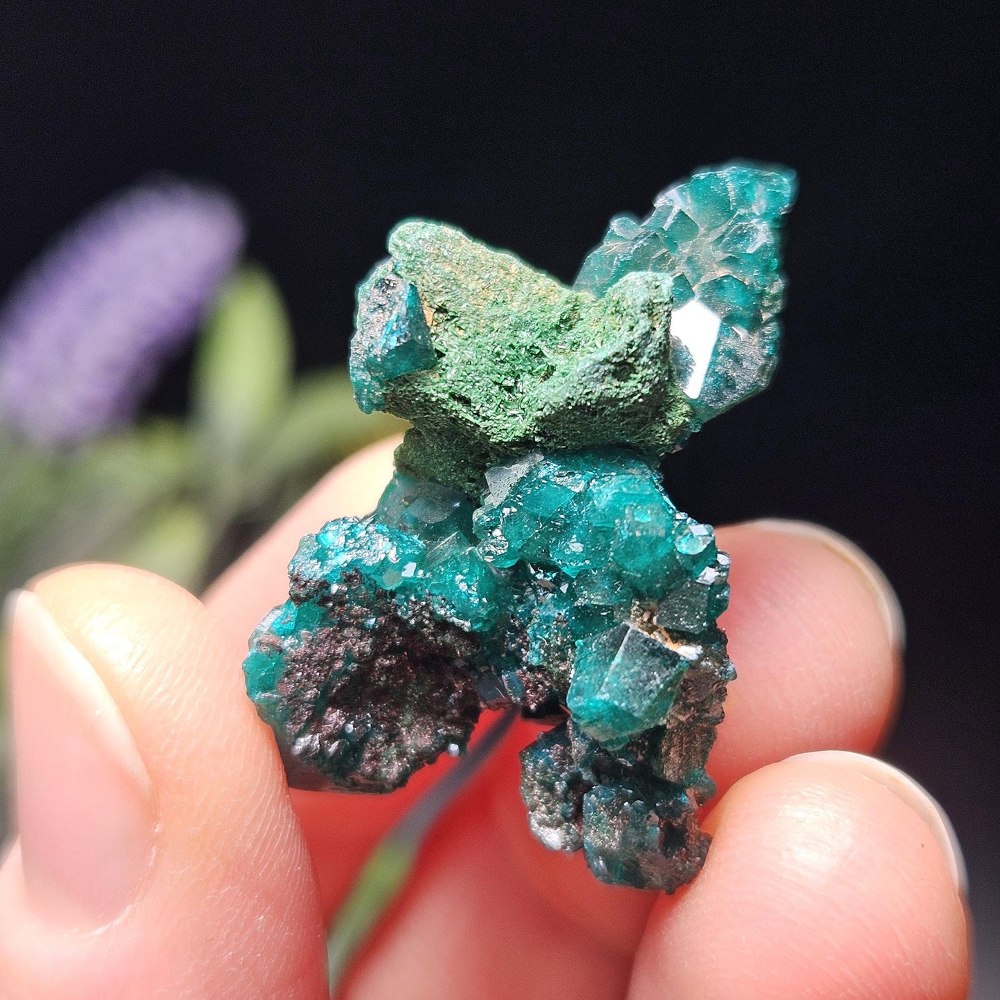 Raw Dioptase & Malachite Crystal Specimen: Rare Combo