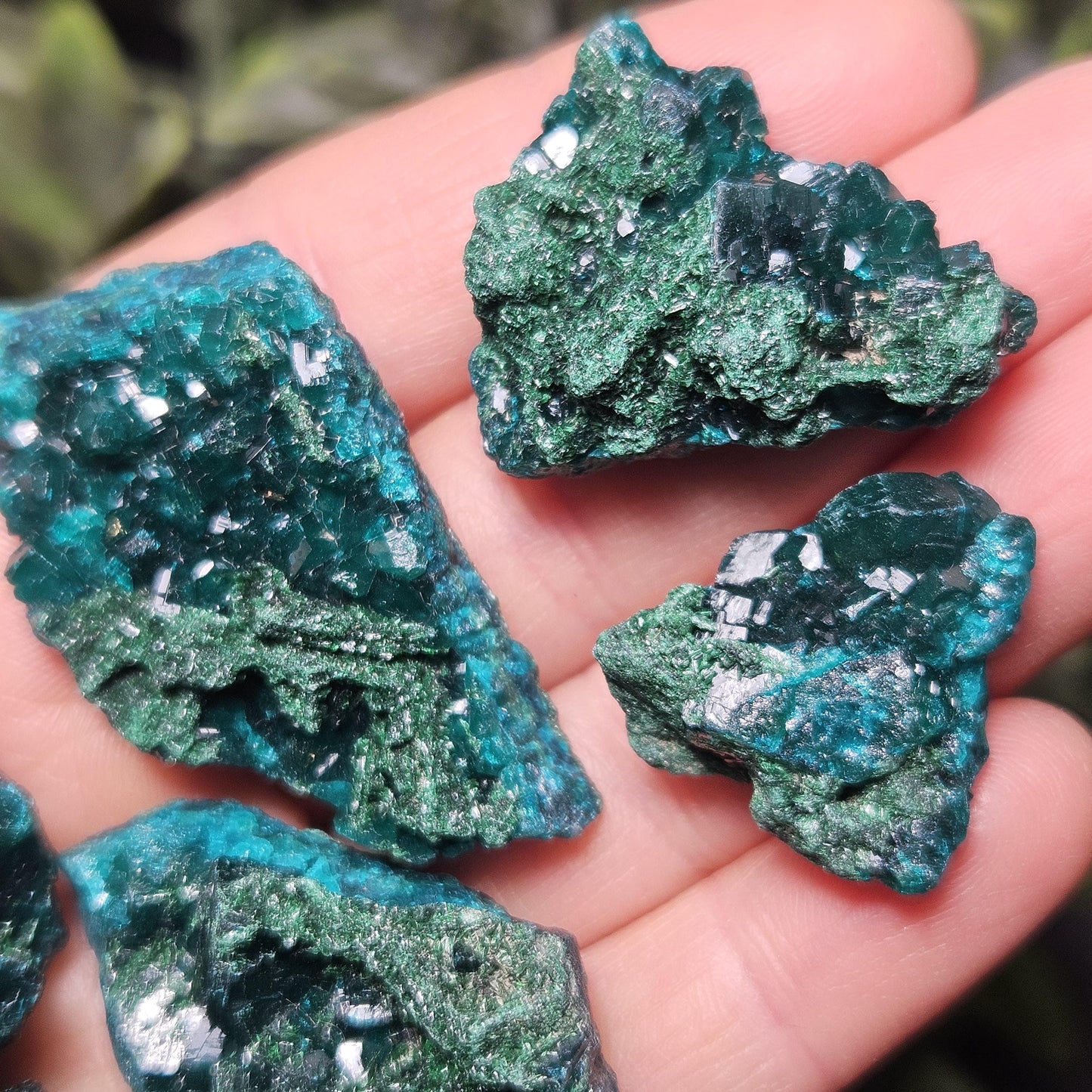 Raw Dioptase & Malachite Crystal Specimen: Rare Combo
