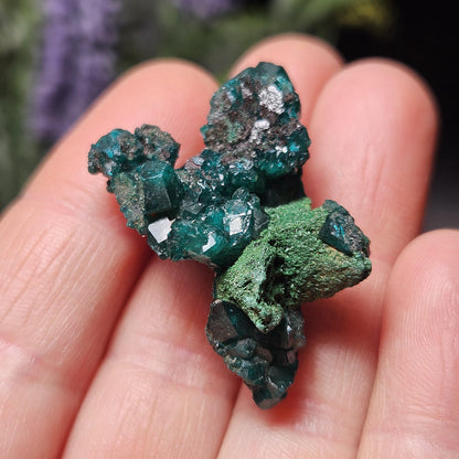 Raw Dioptase & Malachite Crystal Specimen: Rare Combo
