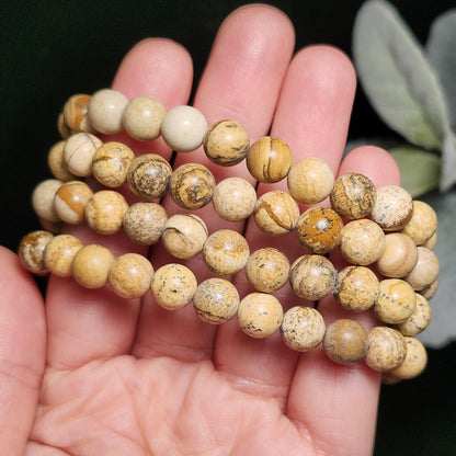 Picture Jasper Bracelet