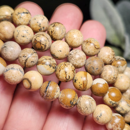 Picture Jasper Bracelet