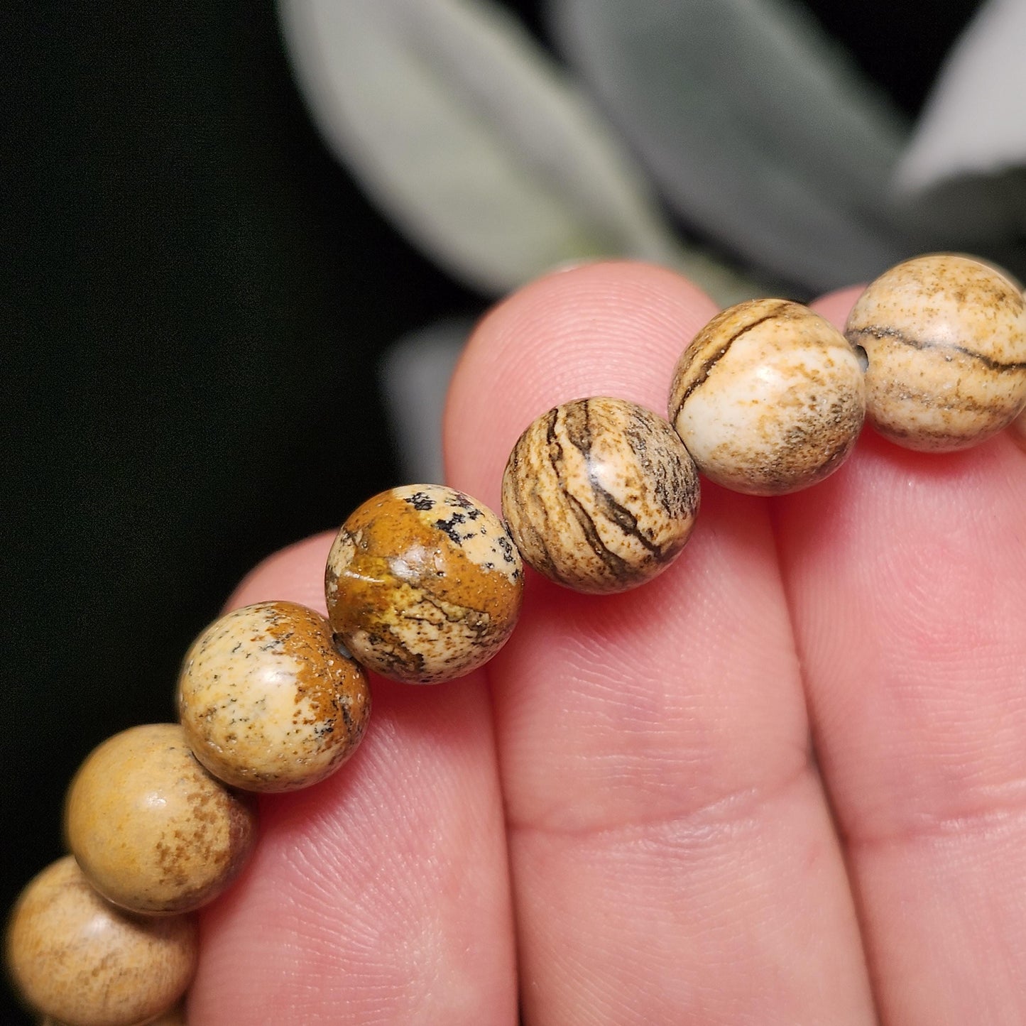 Picture Jasper Bracelet