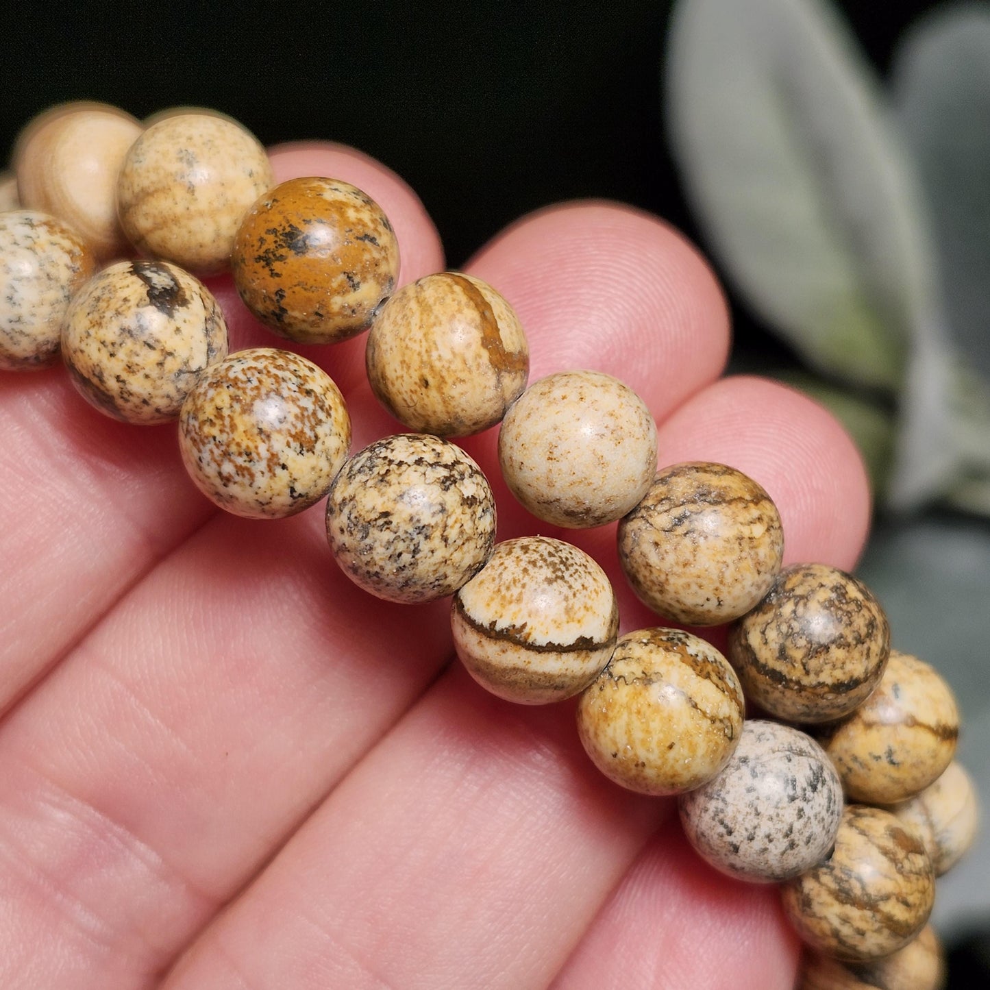Picture Jasper Bracelet