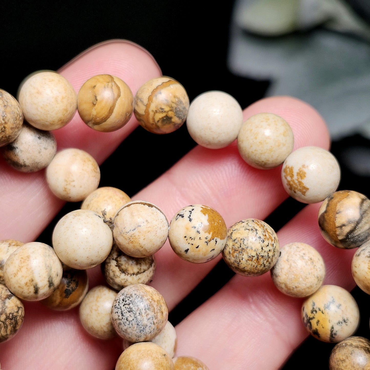 Picture Jasper Bracelet