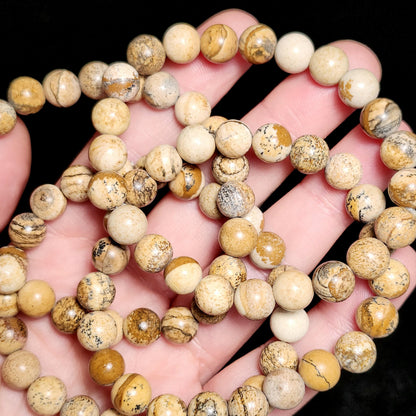Picture Jasper Bracelet