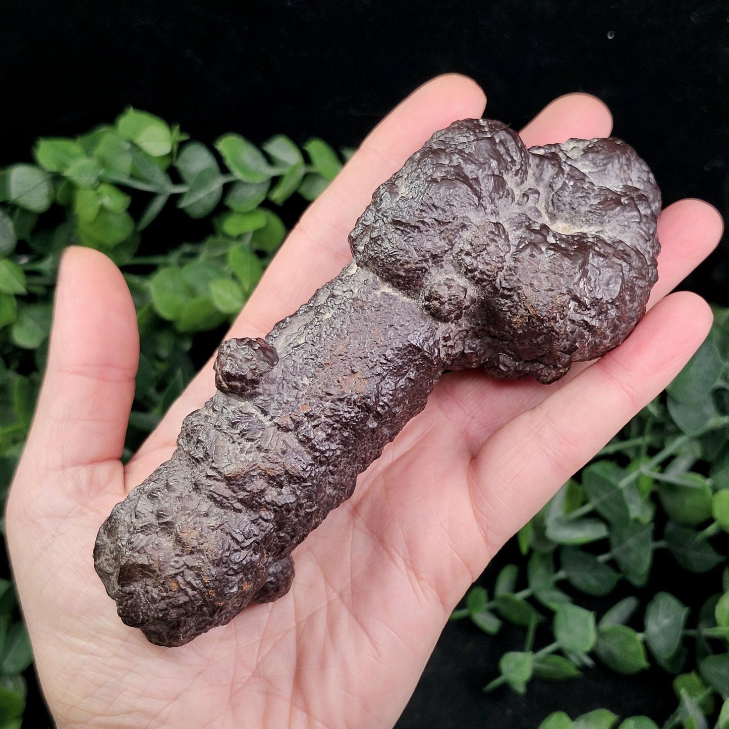 Prophecy Stone 1.2lb