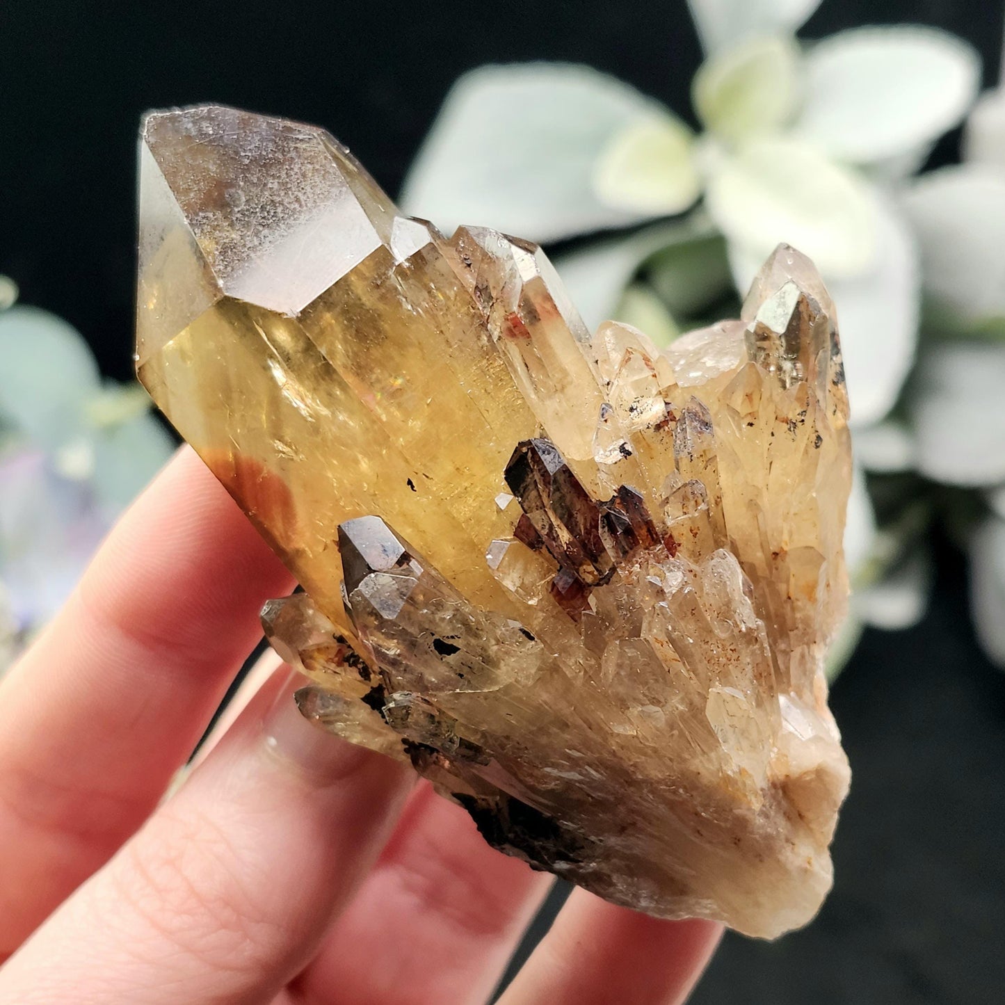 Kundalini Citrine 154g