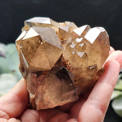 Kundalini Citrine 258g