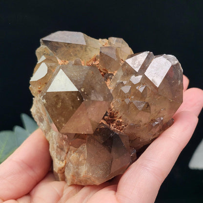 Kundalini Citrine 258g