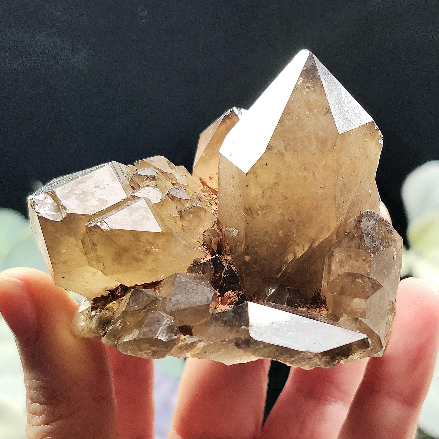 Kundalini Citrine 258g