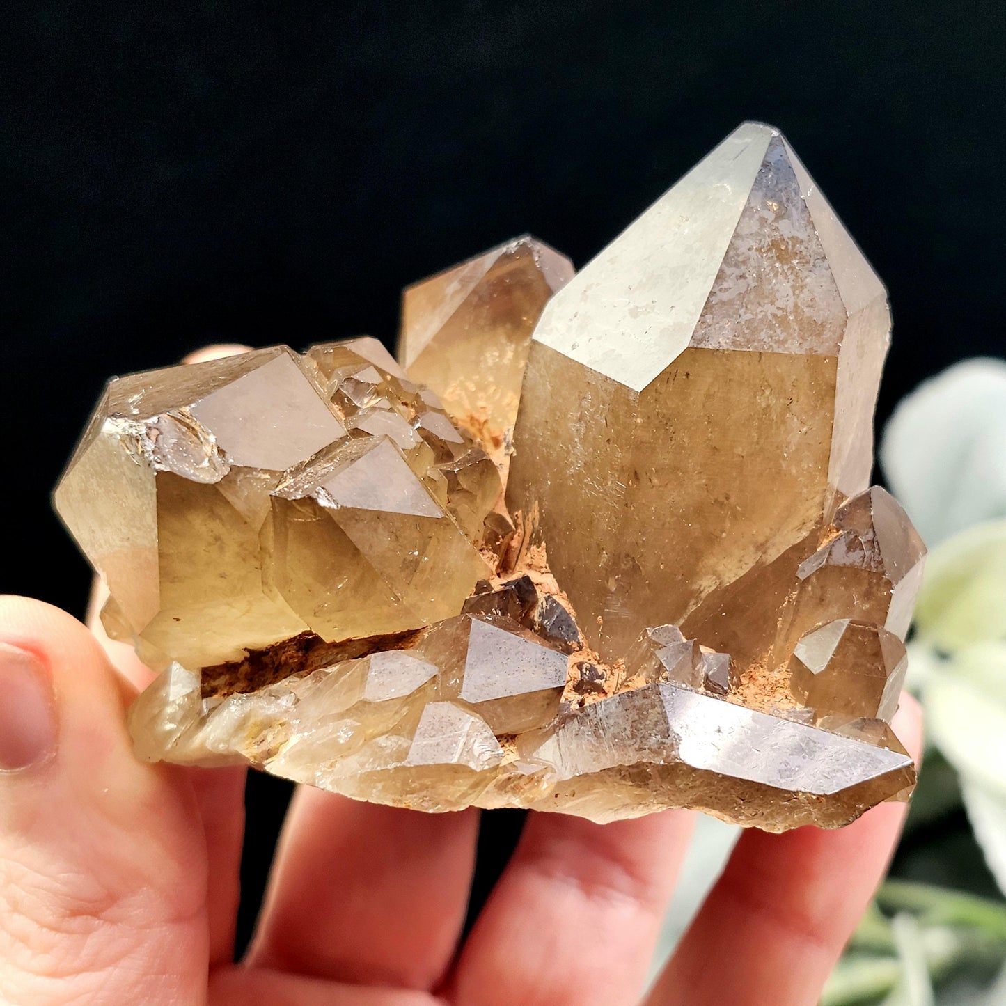 Kundalini Citrine 258g