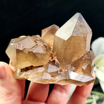 Kundalini Citrine 258g