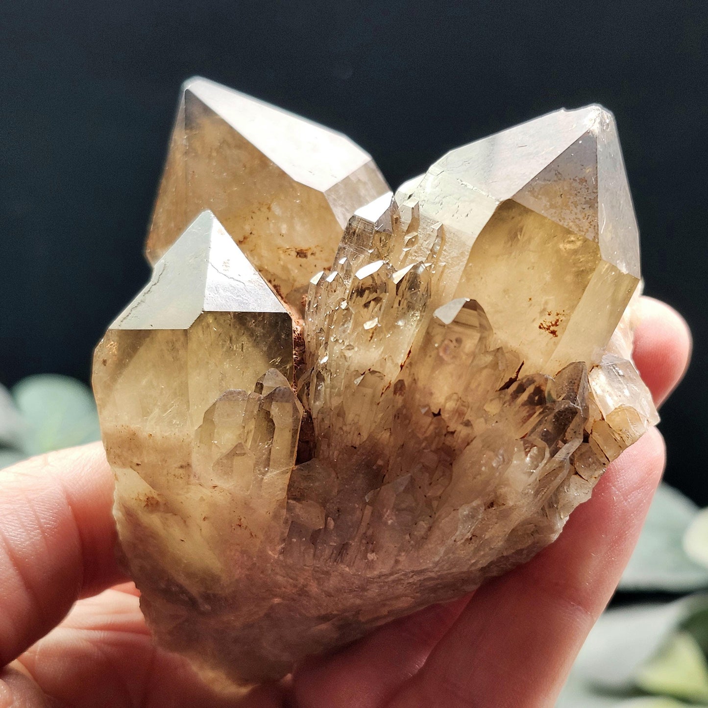 Kundalini Citrine 258g