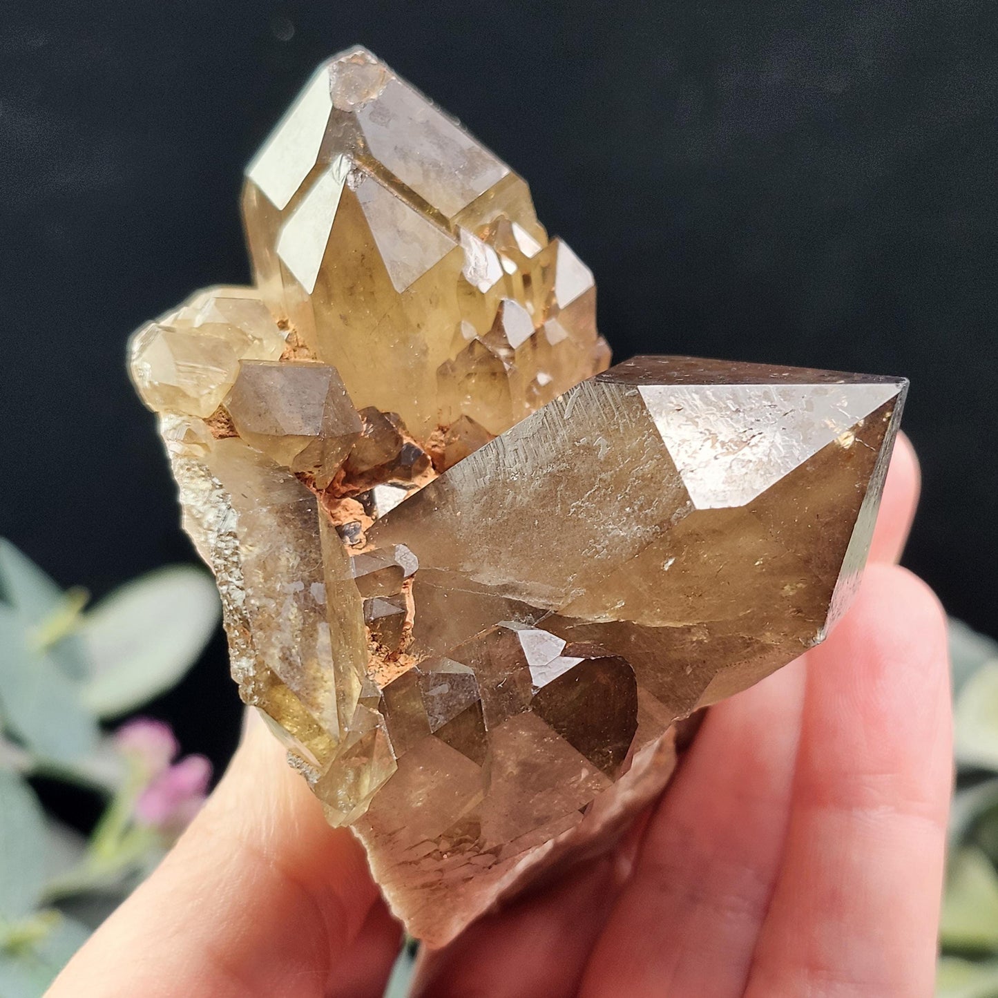 Kundalini Citrine 258g