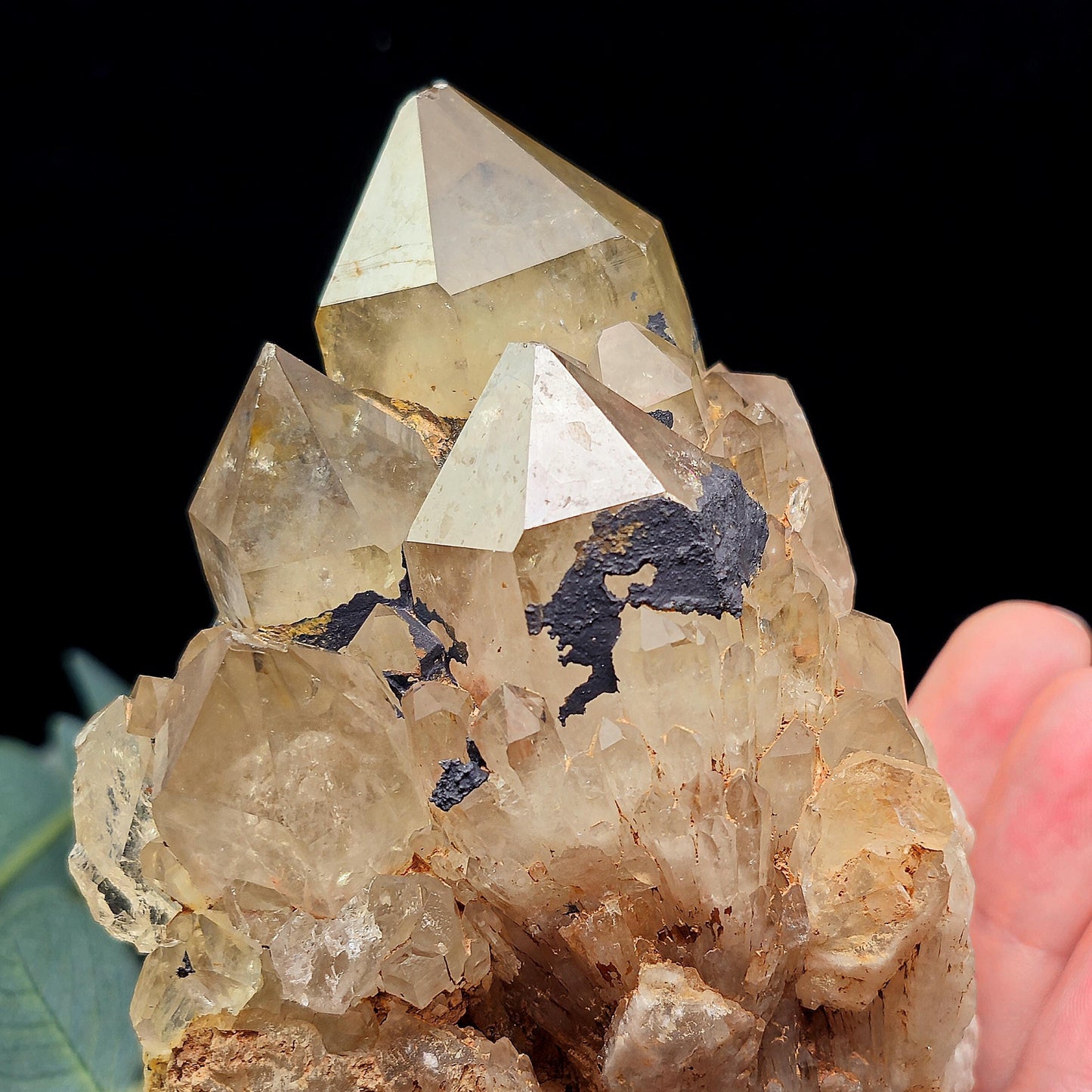 Kundalini Quartz, Natural Congo Citrine Cluster 499g, Smoky Citrine