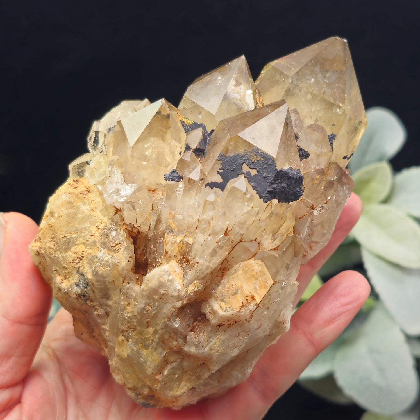 Kundalini Quartz, Natural Congo Citrine Cluster 499g, Smoky Citrine