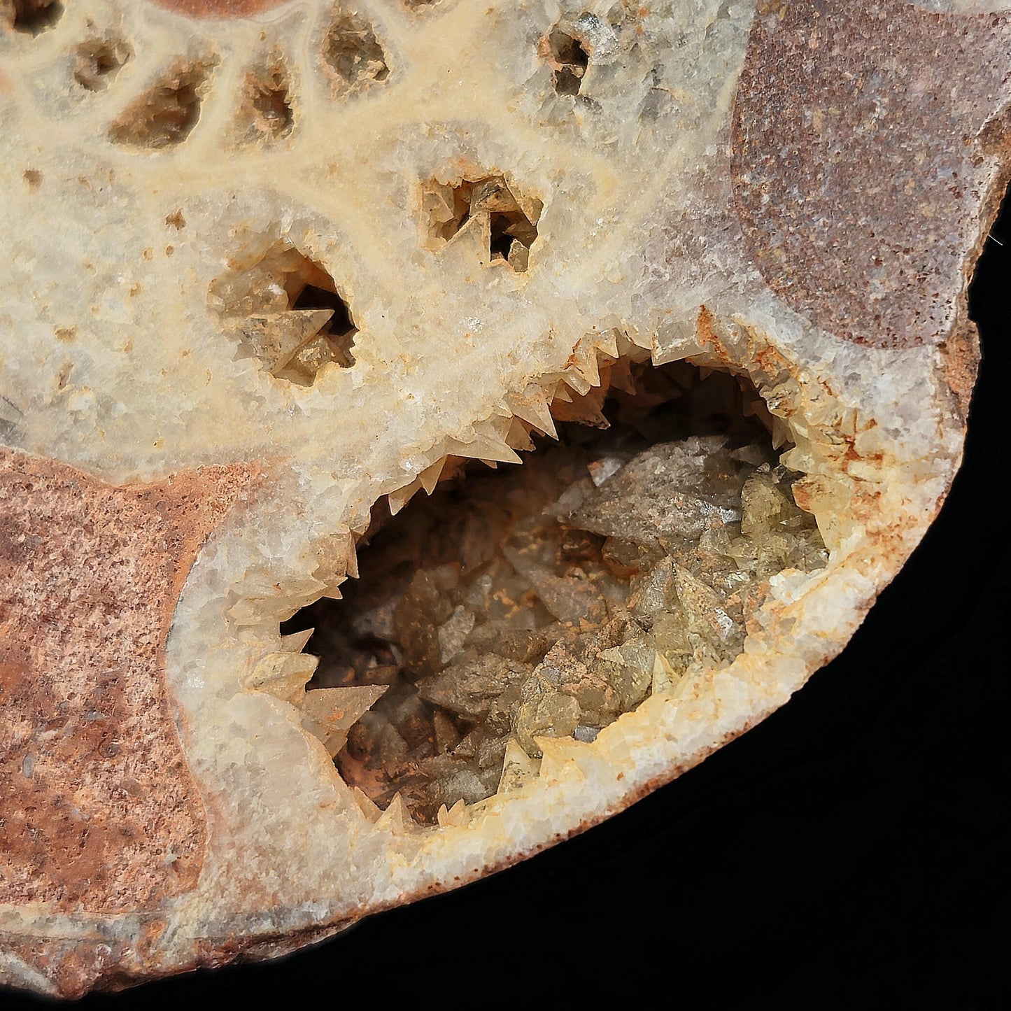 Ammonite Fossil Slices with Dogtooth Calcite, UV Reactive