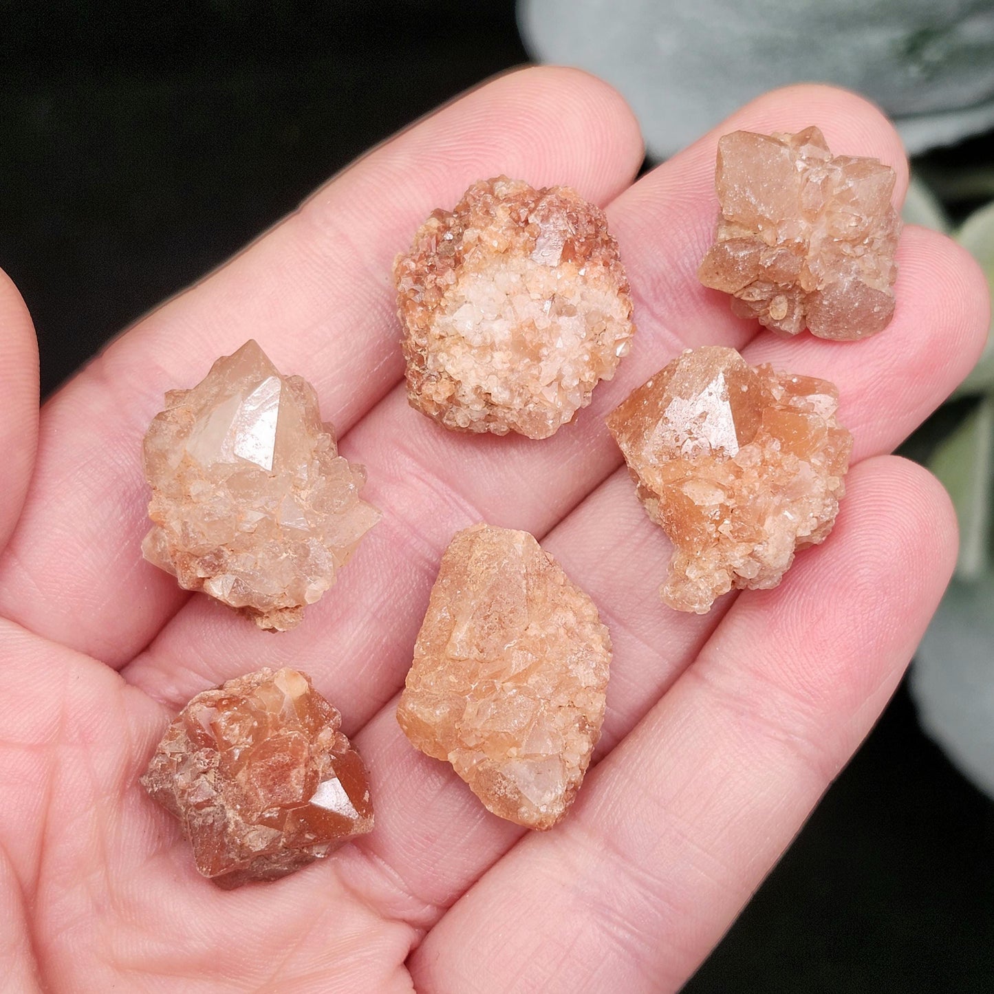 Pink Quartz Cluster from Palos Parados