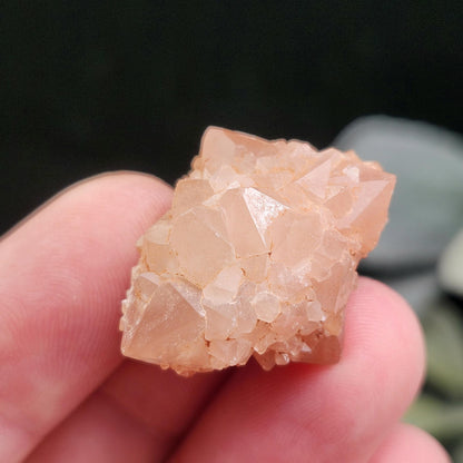 Pink Quartz Cluster from Palos Parados
