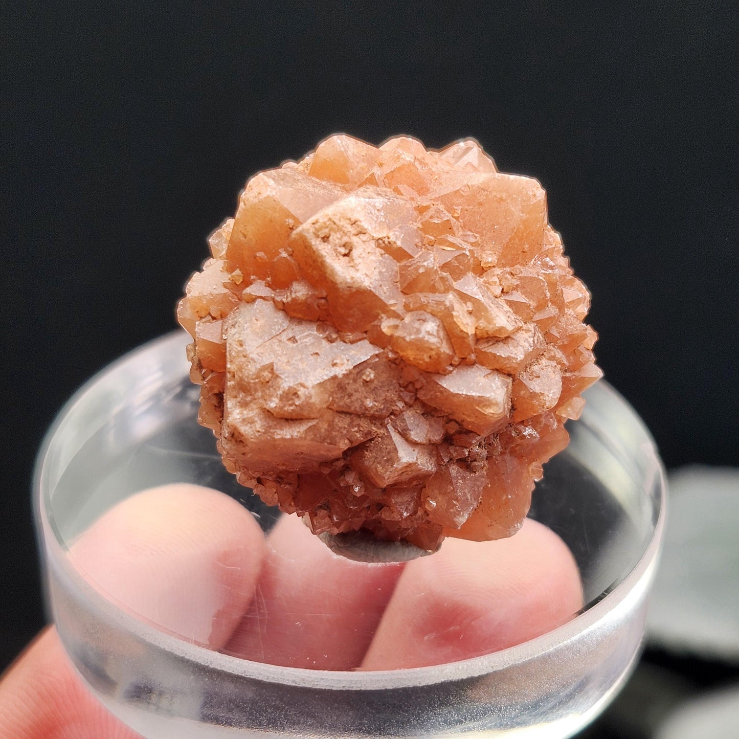 Pink Quartz Cluster from Palos Parados