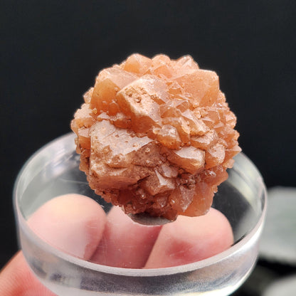 Pink Quartz Cluster from Palos Parados