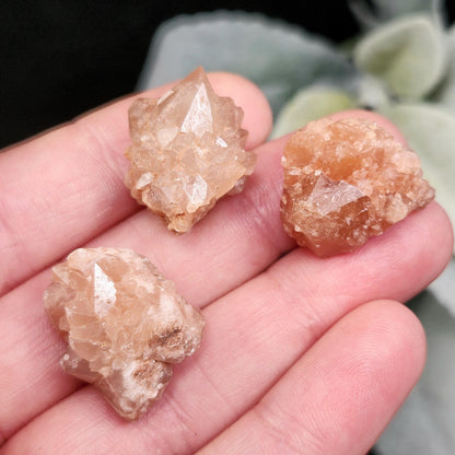 Pink Quartz Cluster from Palos Parados