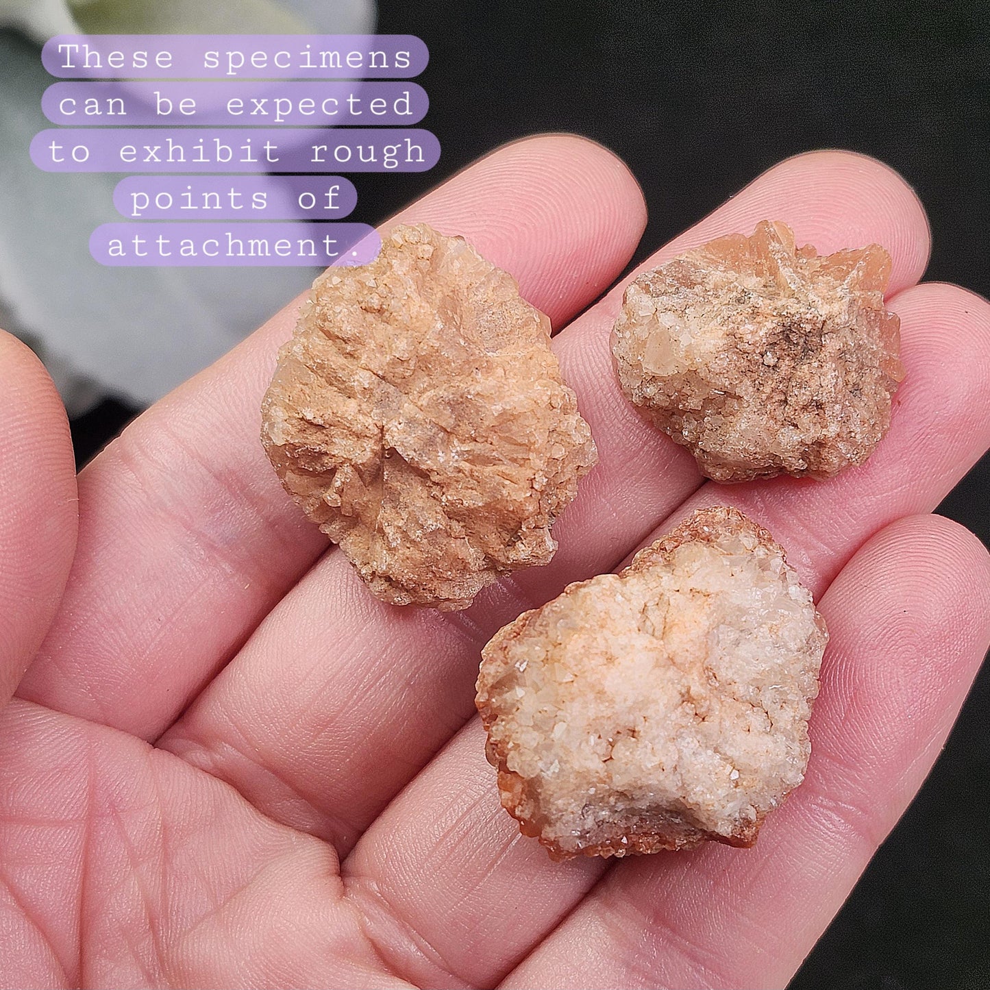 Pink Quartz Cluster from Palos Parados
