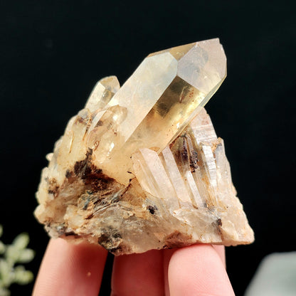 Kundalini Citrine Crystal 50g+, Natural Congo Citrine