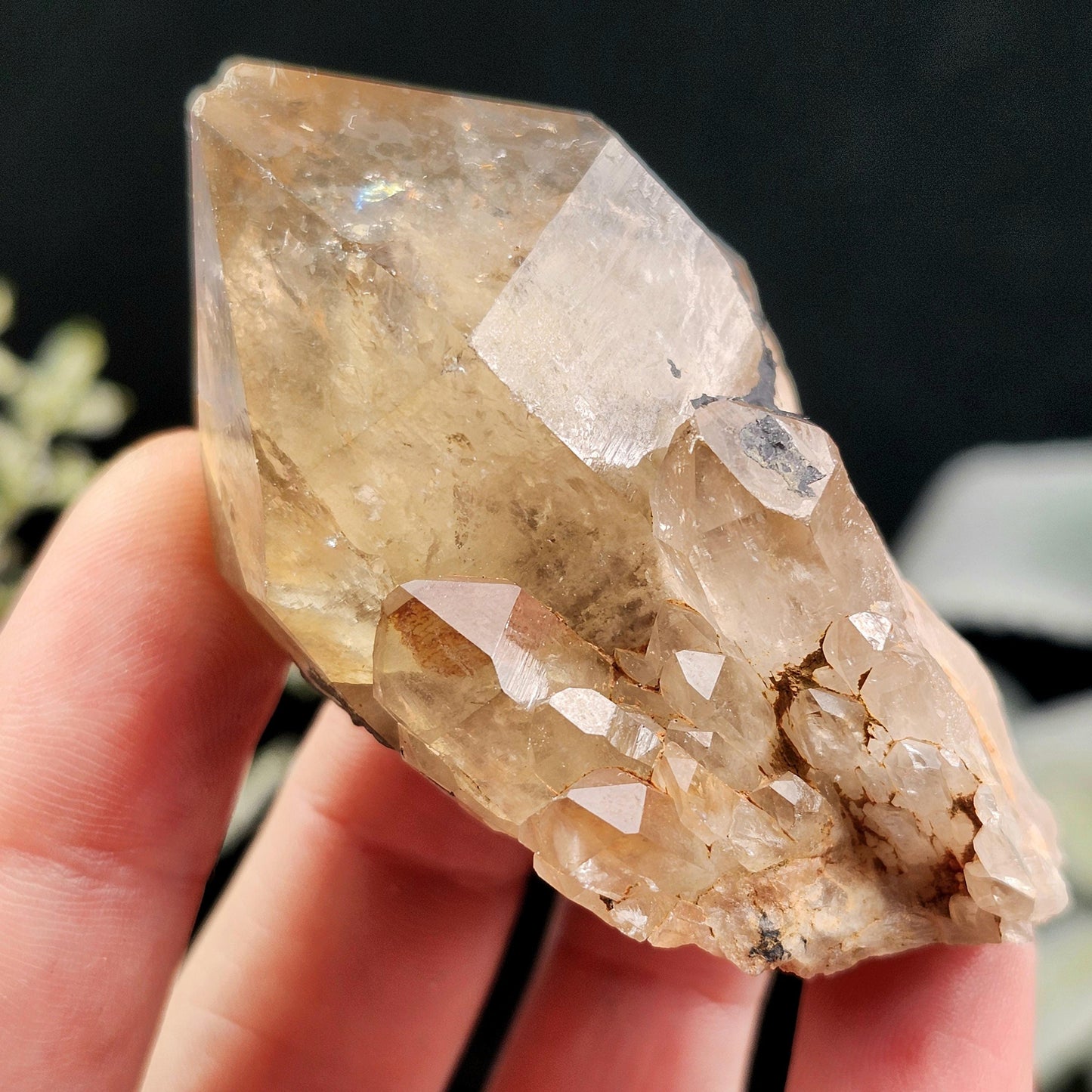 Kundalini Citrine Crystal 50g+, Natural Congo Citrine
