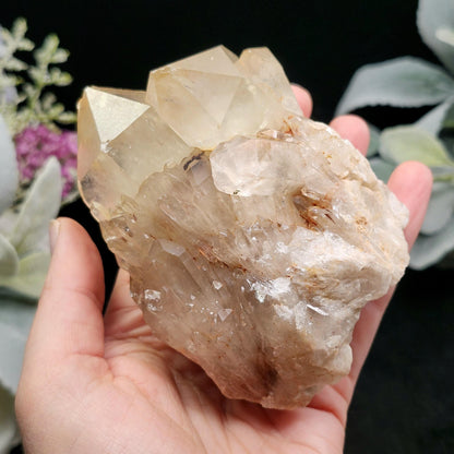 Congo Citrine Cluster 492g