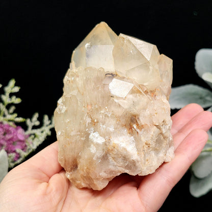Congo Citrine Cluster 492g