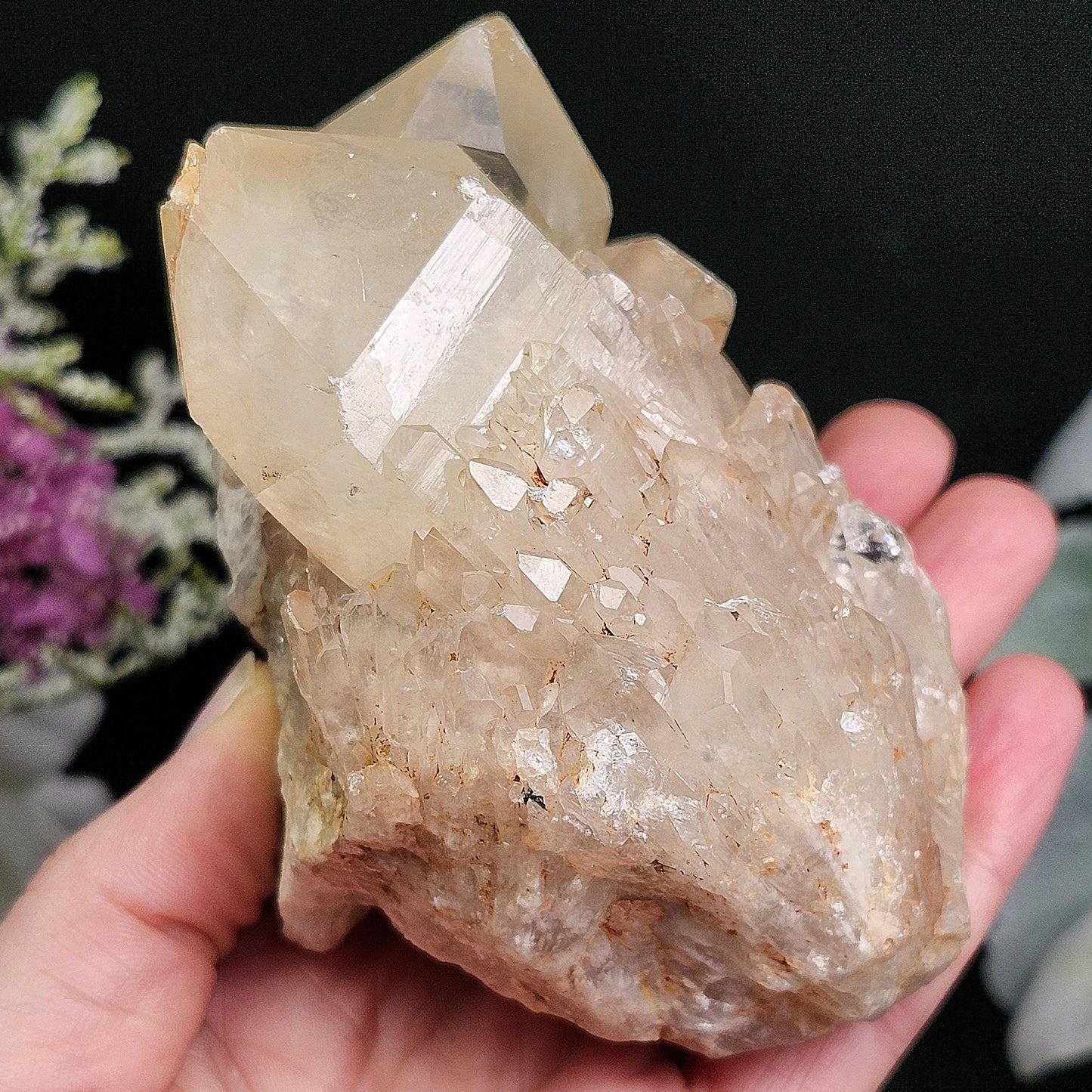 Congo Citrine Cluster 492g