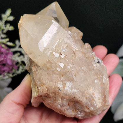 Congo Citrine Cluster 492g