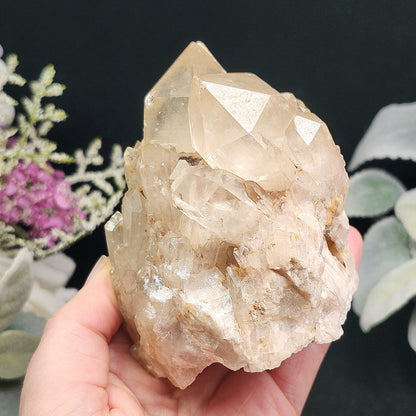 Congo Citrine Cluster 492g