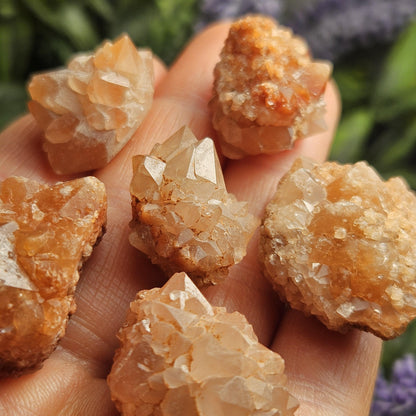 Pink Quartz Cluster from Palos Parados