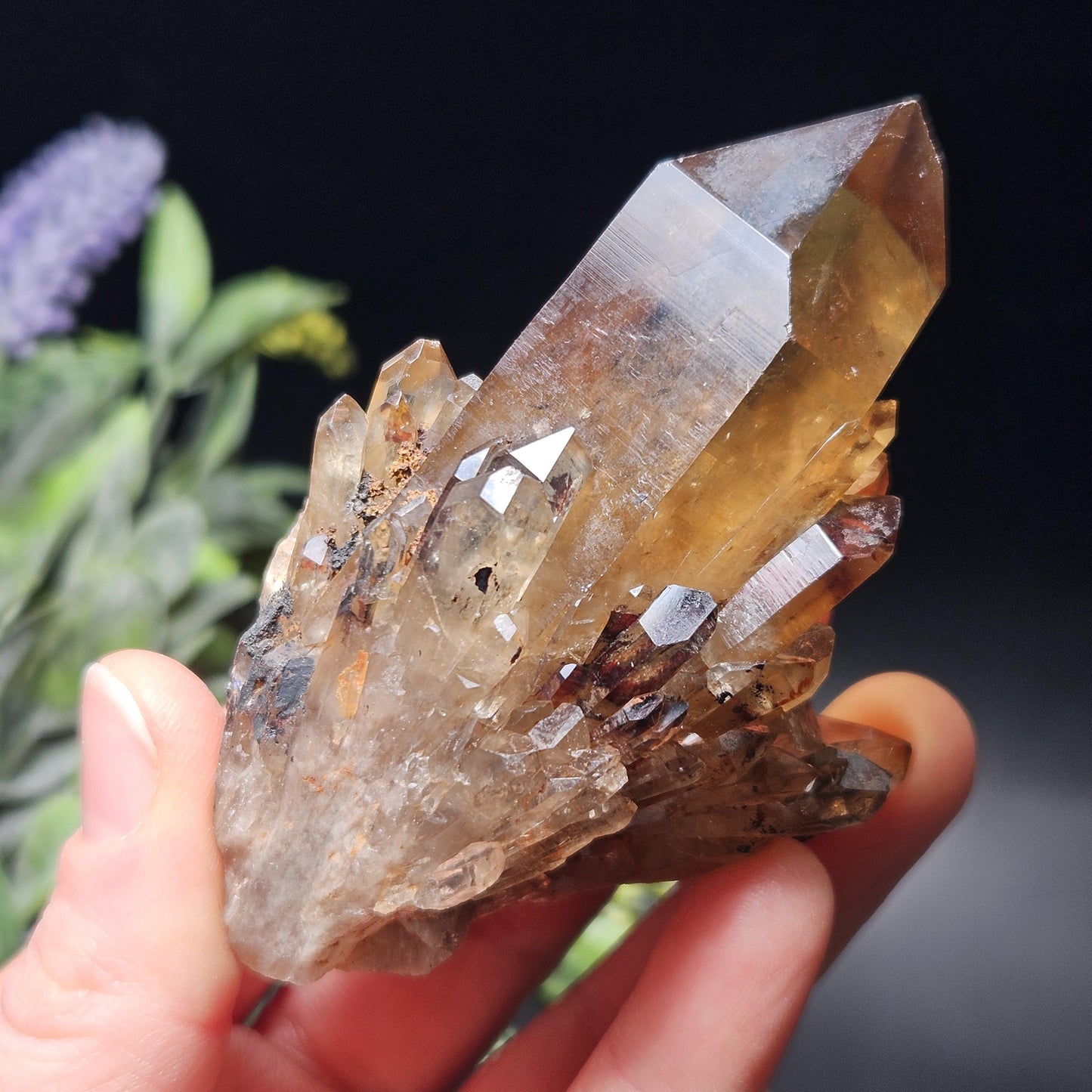 Kundalini Citrine 154g