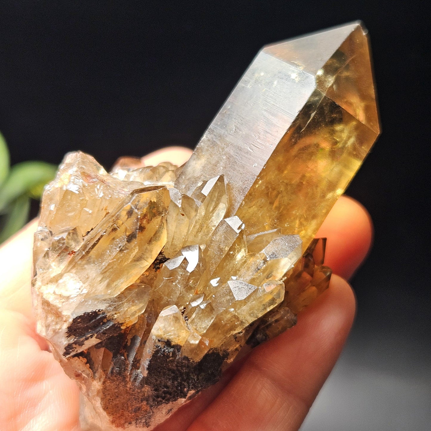 Kundalini Citrine 154g